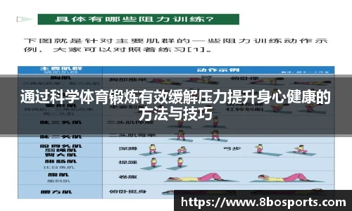 8博体育APP