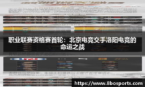 8博体育